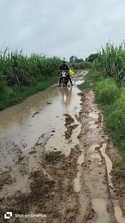 यह रोड तिलहर स्टेशन से बरखेड़ा हवेली के लिए गया है इसकी हालत बोहत खस्ता है मेरा parsasan से निवेदन है की इसको जल्द से ,,