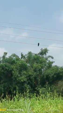 कुसाही गांव में बिजली का तार खेतों में लटका हुआ है इसपे कोई करवाई नहीं हो रहा हैं यहां बिजली की बहोत बढ़ी समस्या है