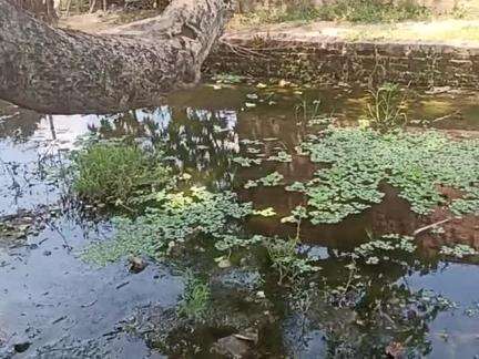 village dhakwara me pani ka bahao