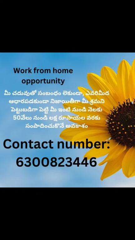 #work from home opportunity