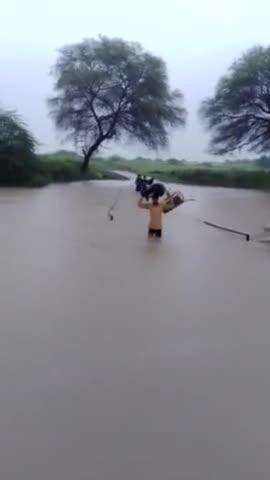 जालौन(उरई) : ग्राम व्यासपुरा में भारी बारिश के कारण नून नदी में बाढ़ जन जीवन अस्त व्यस्त प्रशासन से मदद की गुहार