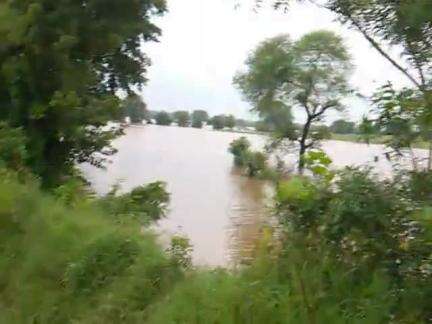 gram mathni tahsil pipariya jila Narmada Puram  himmat Singh kahar ke khet main jal bharao ke Karan fasal ka nuksaan hua