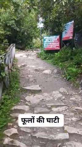 Valley Of Flowers in Chamoli 
#highlights #viralvideo #flowers  #highlight #uttarakhand #devbhoomi dialogue