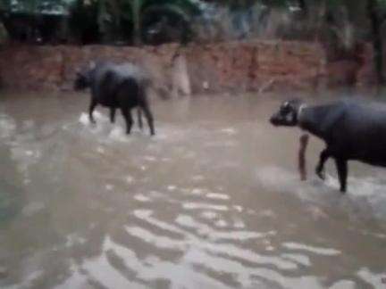 gram 
 nardoli jila kasgsnj
nagla shatee me 
kafi Pani bhara hua hai nikalte hue kafi pareshaniyon ka samna karna pad Ra