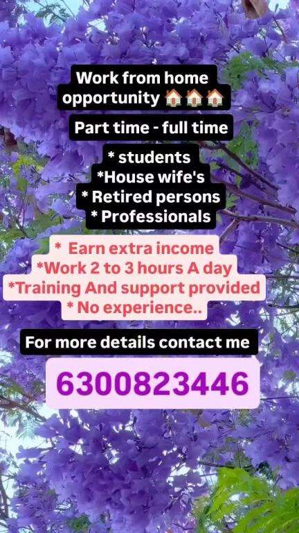 #work from home opportunity