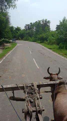 isampur danda road junabi