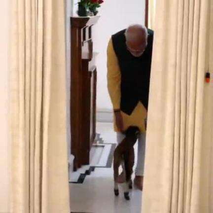 📌 Spending Time with Pets by our PM Narendra Modi.

#narendramodi_primeminister 
#NarendraModi 
#modi