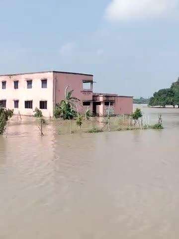 बड़हरा प्रखंड के एकौना पंचायत के  इंग्लिश पुर बाढ़ का पानी चारों तरफ से आ गया है ग्रामीणों का मुख्य मार्ग सेआवागमन ठप है