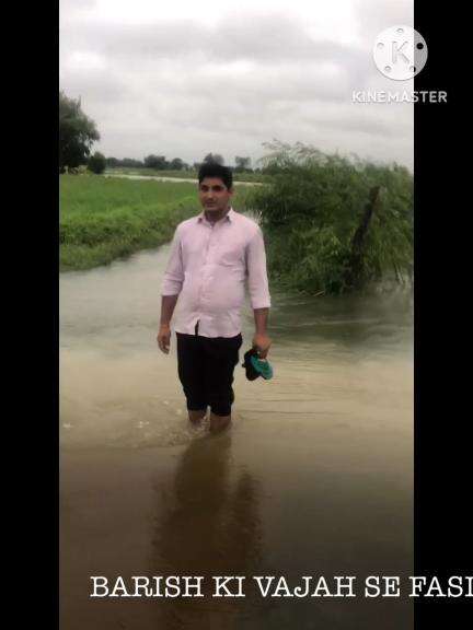 गाँव गोठा मे बारिश से फसल का नुकसान किसान भाई परेशान 😭😭