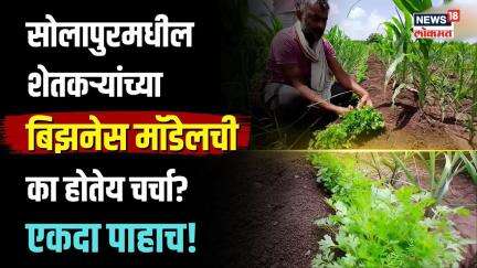 Solapur Coriander Farming : सोलापुरमधील शेतकऱ्यांच्या बिझनेस मॉडेलची का होतेय चर्चा? एकदा पाहाच..