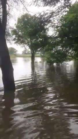 Narholi gaon me barish hone ke karand mandir ke samne bahut jyada pani bhar gya ha