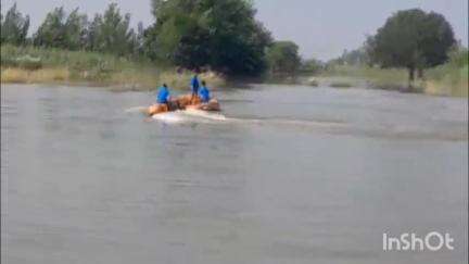 महसी: कोटिया में 15 घंटे बाद मिली किशोरी की लाश, परिजनों में मचा कोहराम, कल शौच के लिए निकली थी घर से