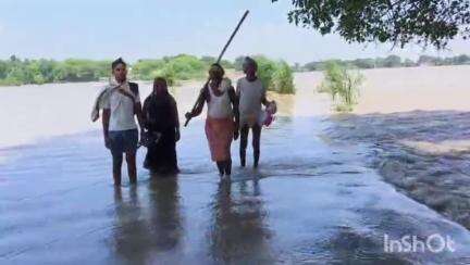 ब्रह्मपुर: बाढ़ की चपेट में आया ब्रह्मपुर प्रखंड के नैनीजोर का दियारा इलाका, प्रशासनिक सुविधाओं के आभाव से लोग आक्रोशित