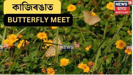 Kaziranga Butterfly Meet| তিনিদিনীয়া কাৰ্যসূচীৰে কাজিৰঙাত অনুষ্ঠিত হ’ব Butterfly Meet