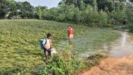 পাত্রসায়র: টানা কয়েকদিন বৃষ্টির ফলে পাত্রসায়ার ব্লকে বিভিন্ন কৃষি প্রধান এলাকাগুলিতে ফসলের জমিতে জল ঢুকে যায়