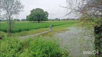 टूंडला: टीकरी गांव में बिजली पोल टूटकर खेत में गिरा, कई गांवों की बिजली गुल