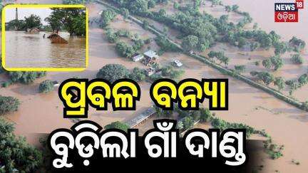 ପ୍ରବଳ ବନ୍ୟା ବୁଡ଼ିଲା ଗାଁ  Odisha flood: 250 villages affected in Balasore as rivers overflow