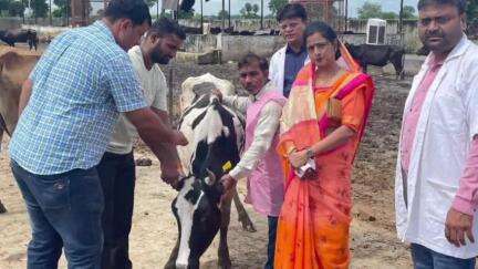 जलेसर: जलेसर कान्हा गौशाला में पशुओं में चल रही लंपी स्किन डिजीज की रोकथाम हेतु टीकाकरण का शुभारंभ