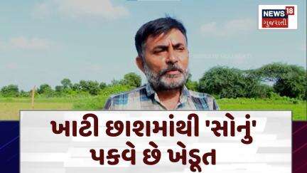 Patan News | ખાટી છાશમાંથી 'સોનું' પકવે છે ખેડૂત | Farming Technique | Farmers Innovation | N18V