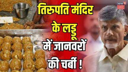 Tirupati laddu case : Tirupati के लड्डू में मिलावट का मामला | Chandrababu Naidu on Tirupati laddu