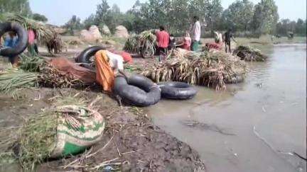 धनौरा: पहाड़ी इलाकों में हो रही बारिश के कारण बिजनौर बैराज से छोड़ा गया पानी, गजरौला खादर क्षेत्र के ग्रामीण परेशान