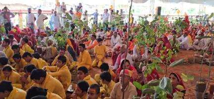 भदेसर: अमरा भगत की तपोस्थली पर आज हुआ वृहद स्तर पर पौधारोपण, सांसद सीपी जोशी की अगुवाई में लगाए गए 1008 पौधे