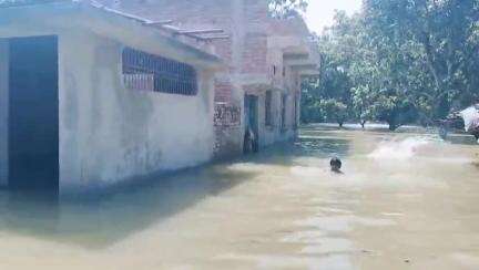 गोगरी: बोरना पंचायत में फिर फैला गंगा नदी का बाढ़ का पानी, जीएन बांध पर शरण लेने को मजबूर हो रहे हैं बाढ़ पीड़ित परिवार