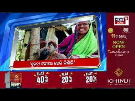 Top Headlines | Odisha Rain | Subhadra Yojana | 19th September 2024 | CM Mohan Majhi | Odia News