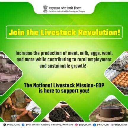 Unlock rural employment and sustainable growth by boosting the production of meat, milk, eggs, wool, and more!
The National Livestock Mission-EDP is here to support you!

#LivestockRevolution #RuralDevelopment