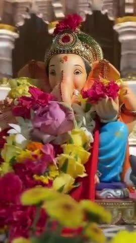 Ganesh Utsav | सुरक्षा व्यवस्थेतील एका श्वानाची बाप्पाला अनोखी मानवंदना | मुंबई
#Mumbai​ #GanpatiBappaMorya​ #DevendraFadnavis​ #देवेंद्रफडणवीस​ #Maharashtra​