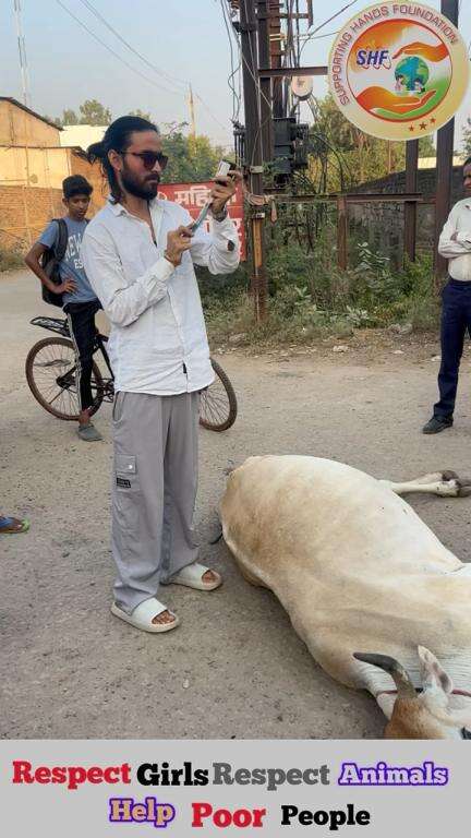 गाये दूध नहीं देती, इसलिए हम उसका इलाज नहीं करा सकते. 😡

Respect Girls help poor help animals 

#apsgurjar #help #viral #support #cow