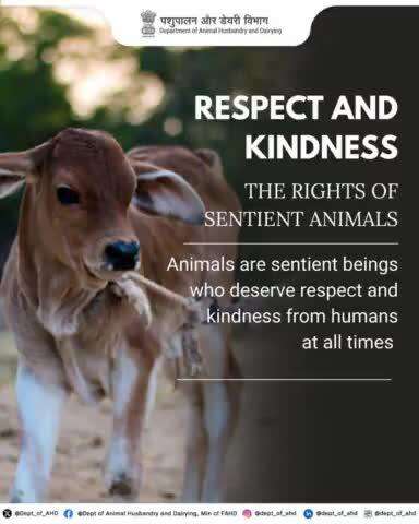 Compassion for All Living Beings
Animals deserve kindness and respect as sentient beings. Let’s ensure their rights and well-being through our actions every day.
#RespectAnimals #CompassionMatters #AnimalRights #AnimalWelfare