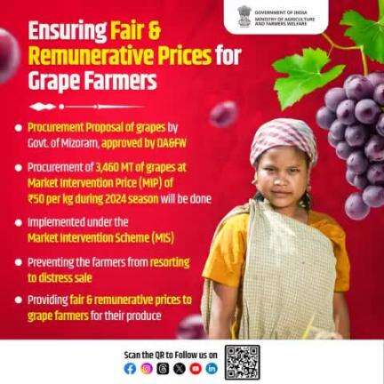 DA&FW has approved Govt. of Mizoram's proposal to procure 3,460 MT of grapes at a Market Intervention Price under Market Intervention Scheme for the 2024 season.