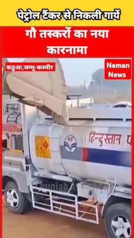 Jammu-Kashmir के Kathua में Petrol टैंकर से निकली गायें, गौ तस्करों ने पेट्रोल टैंकर को बनाया#kathा
#JammuKashmir #Kath