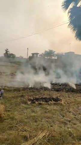 Bijli te taar se shortcarkit hone se dhan ka khet  jal gaya