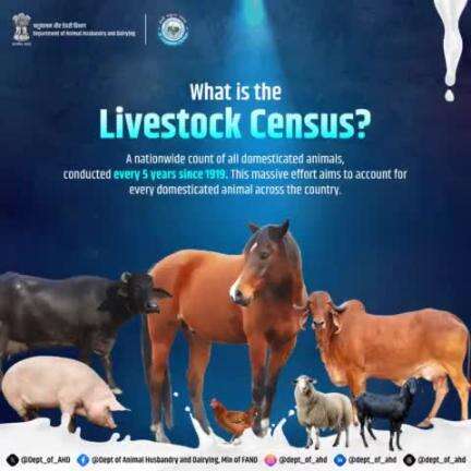 The Livestock Census is a nationwide count of all domesticated animals in India, conducted every five years since 1919. This large-scale effort aims to account for every domesticated animal across the country.
#LivestockCensus