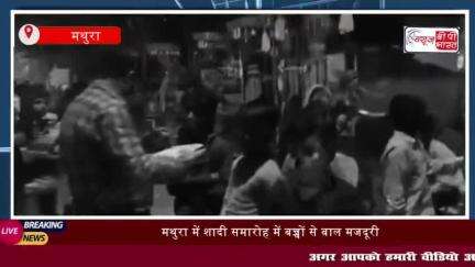 मथुरा में शादी समारोह में बच्चों से बाल मजदूरी, श्रम आयुक्त ने मारा छापा,
#मथुरा #शादी #समारोह #बच्चों #बाल #मजदूरी