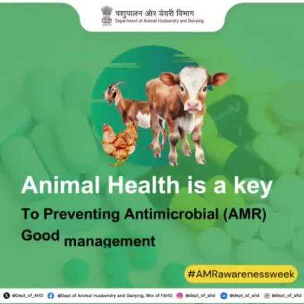 Animal health is key to preventing #AntimicrobialResistance (AMR). Good management practices and the use of antimicrobials under #veterinary supervision protect animals, humans, and the environment.