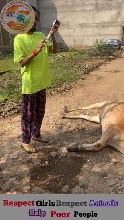 हमने अपना सर्वश्रेष्ठ 🥺
 प्रयास किया लेकिन हम हार गये।🥺

Respect Girls help poor help animals

#apsgurjar #animal #cow