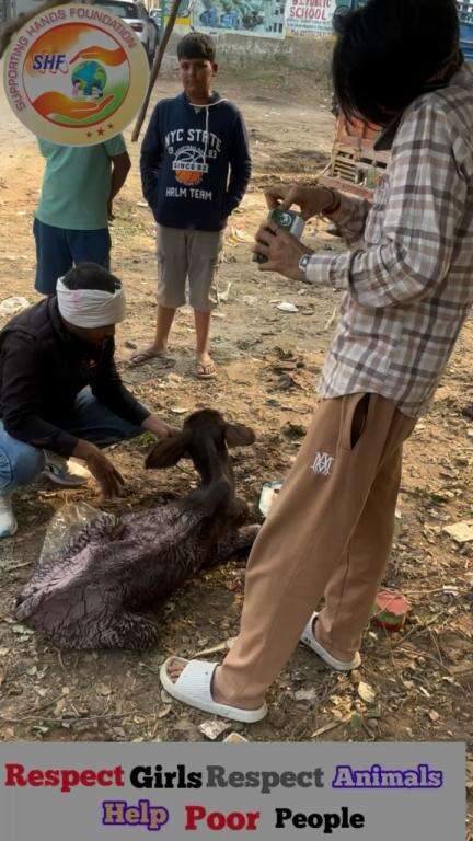 क्या लोगों ने इसके साथ अच्छा किया हे 😡🐄
अगर किसी ने आप के साथ ऐसा किया होता तो 🙏🏻

Respect Girls help poor help animals 

#apsgurjar #help #viral