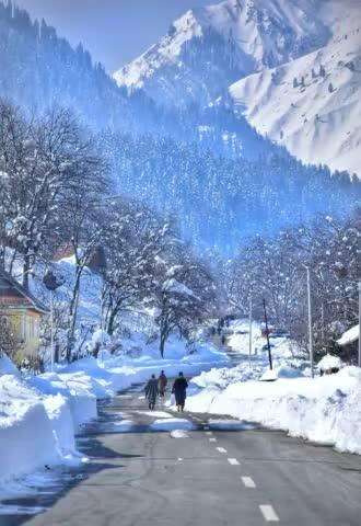 Winter Wonderland Kashmir