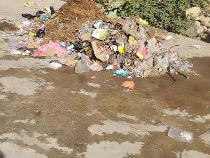 nagayach mohalla bayana gate weir ward no 11 yah Hamare weir Ki isthiti Hai chairmen shab se anurodh  he ki khud aaka d