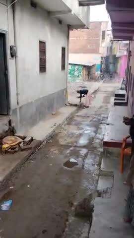 20 ward me kachra ka ambaar nagar parisad se logo ka bharosa nahi