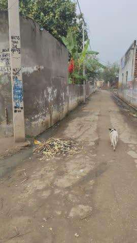 Muzaffarpur nangla kanwada