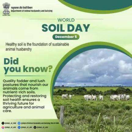 Healthy Soil, Healthy Future!
This #WorldSoilDay, let's recognize the vital role of soil in sustainable animal care. 
Nutrient-rich soil → Quality fodder → Healthy animals.