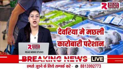 देवरिया यूपी :नाराज मछली व्यवसायियों ने उपजिलाधिकारी से शिकायत की है

#देवरिया #यूपी #मछली #सलेमपुर #up #, upnews