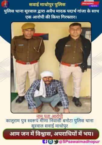 #सवाईमाधोपुरपुलिस  थाना थाना सूरवाल द्वारा अवैध मादक पदार्थ गांजा के साथ एक आरोपी गिरफ्तार।