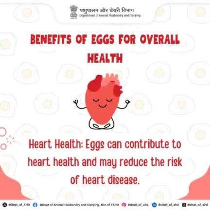 Start your day with a heart-friendly breakfast!
Eggs may reduce heart disease risk while keeping you energized and healthy.
#EggLove #protein #healthybreakfast