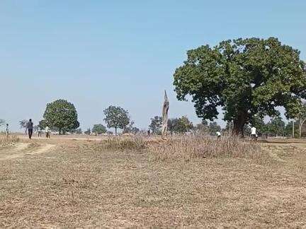 gardaha school pe cricket match trunament ka aayojan kiya gaya hai