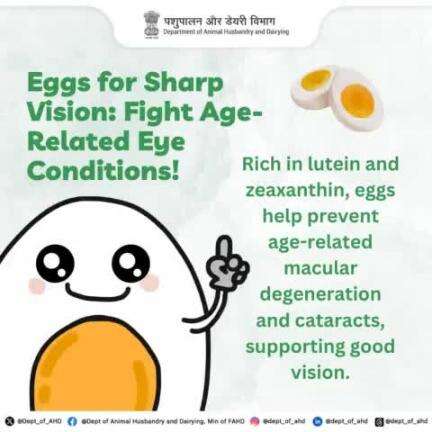 See the World Better with Eggs! 
Lutein and zeaxanthin in eggs help protect your eyes, combating macular degeneration and cataracts. Give your eyes the care they deserve—add eggs to your diet today!